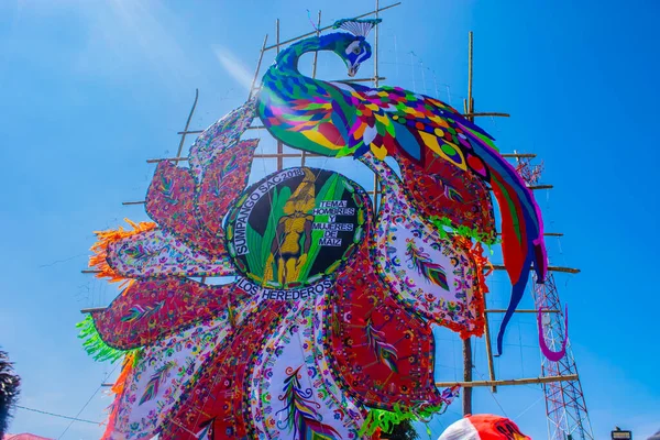 Mavi gökyüzü ile renkli hindi Güzel kağıt sanat