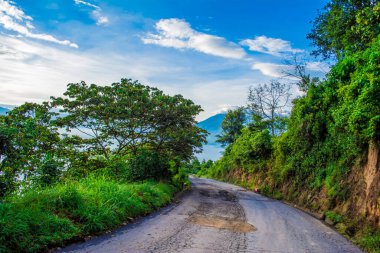 Atitlan Gölü çevresindeki patikada yeşil ağaçlar var.