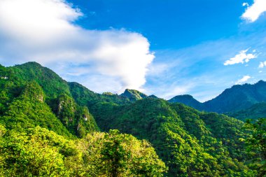 Tropikal ormanlı beyaz bulutlu güzel bir manzara.,