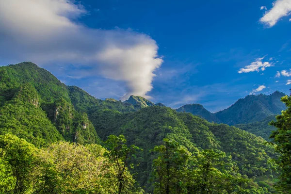 Bosque Con Colina Montañas Con Cielo Azul —  Fotos de Stock