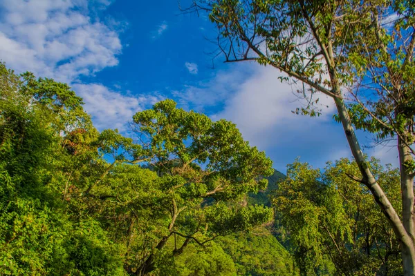 Hermoso Cielo Con Nubes Árboles Tropicales Verdes —  Fotos de Stock