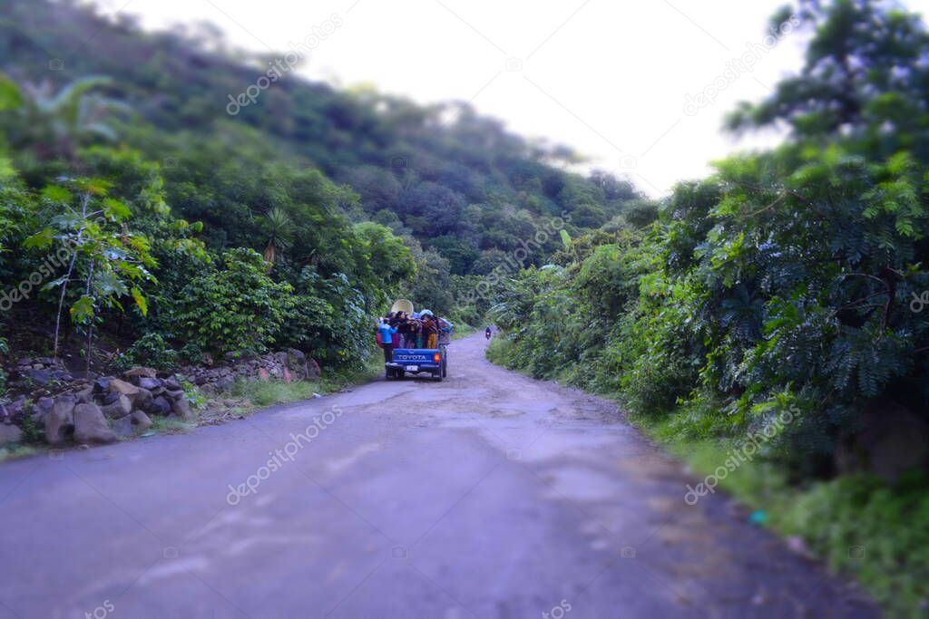 car with people in the middle of tropical forest