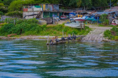 Güzel ahşap iskele, insanların evi lastiklerle dolu.