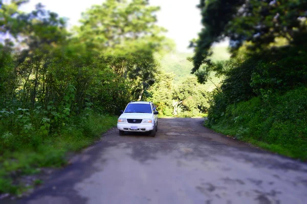 Weißes Auto Mitten Wald — Stockfoto