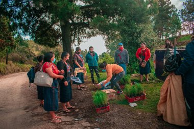 Cajola ormanında dikmek için ağaçları olan genç insanlar ve tipik Maya kıyafetleri giyen kadınlar.