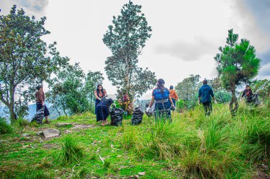 Genç Maya de Cajola bulutlu havada ormanda çöp topluyor.