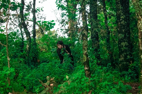 Ormanda çöp toplayan yerli Maya kadın.