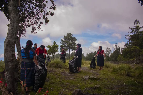 Genç Yerli Maya Cajola Cerro Granizo Ormanında Çöp Topluyor — Stok fotoğraf