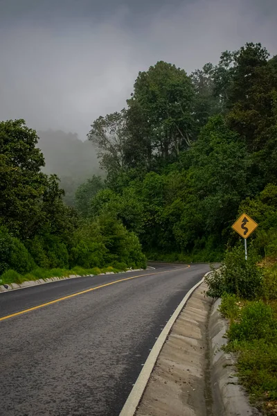Schöne Straße Wald Mit Nebel — Stockfoto
