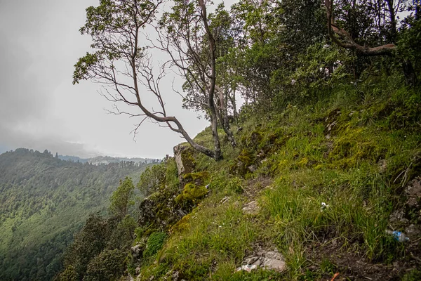 Acantilado Árboles Verdes Nubes —  Fotos de Stock