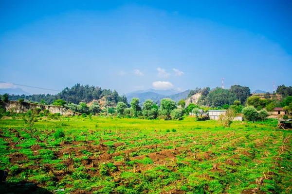 Seimbras Maïs Avec Ciel Bleu Avec Nuages Maison Arrière Plan — Photo