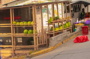 Genç adam göl kıyısında duruyor.