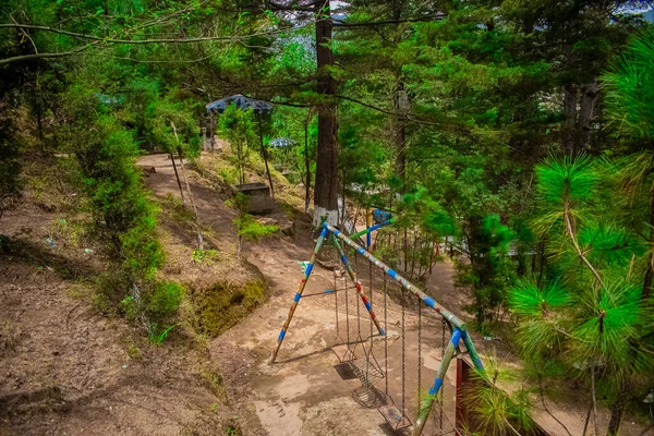 Pusat Rekreasi Hutan — Stok Foto
