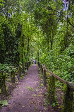 San Martin Gölü kıyısında duran genç adam Şili Verde Quetzaltenango