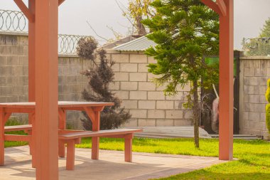 Ağaç ve duvarlı tahtadan sandalyeler.