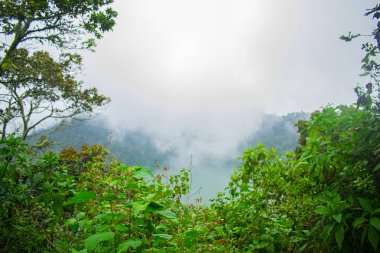 Ağaçların yeşil yapraklarıyla gölün üzerinde bulutlar