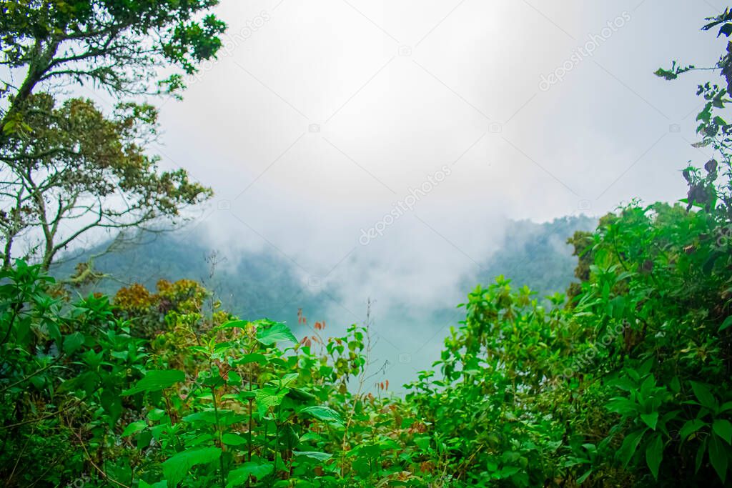 clouds over lake with green leaves of trees