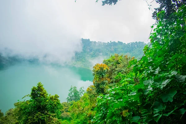 Ormanlı Chicabal Gölü Manzarası — Stok fotoğraf