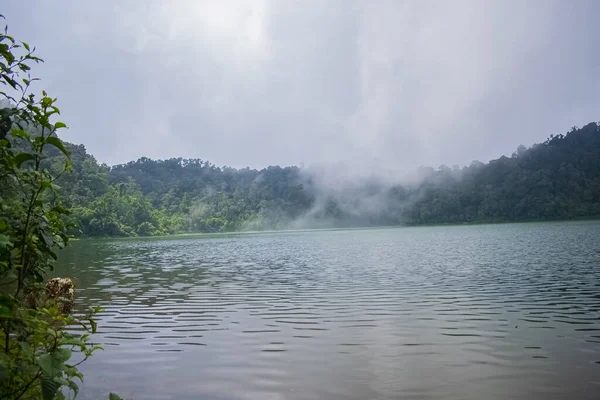 美丽的风景湖 有薄雾和绿林 — 图库照片