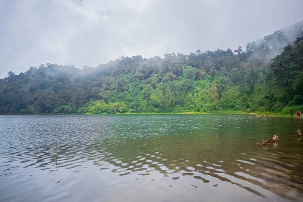 带雨天和树木的奇卡巴尔湖景 — 图库照片