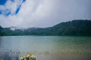 Yeşil ormanlı çarpıcı göl