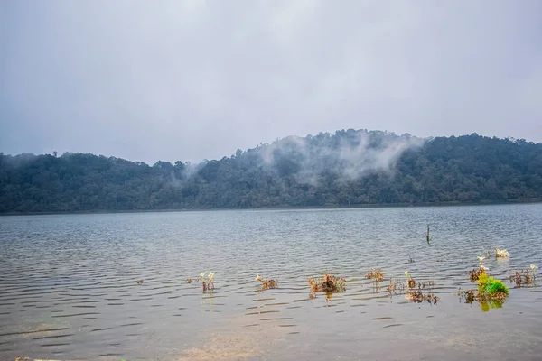 Schöner See Bei Regnerischem Wetter — Stockfoto