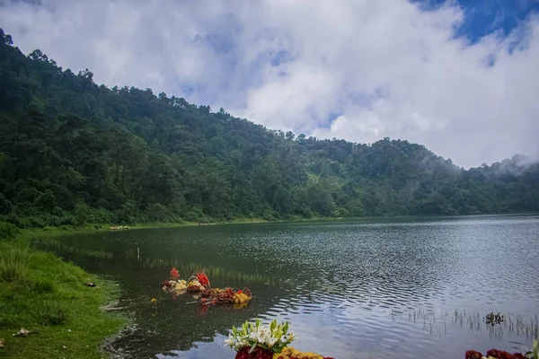 Belas Flores Tira Lago Com Floresta Verde — Fotografia de Stock