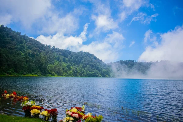 Yeşil Ormanda Çiçekli Chicabal Gölü — Stok fotoğraf