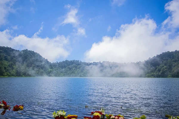 Belo Lago Paisagem Deslumbrante Com Floresta — Fotografia de Stock