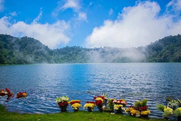 Belo Lago Uma Eterna Primavera Com Floresta — Fotografia de Stock