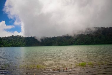 Chicabal Gölü ve ormanda yağmur.