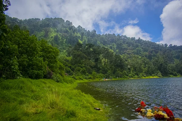 Beautiful Forest Meadow Beautiful Lake — Stock Photo, Image