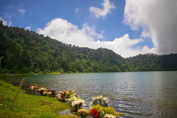 Chicabal See Mit Regnerischem Wetter Mit Blumen Und Bergen — Stockfoto