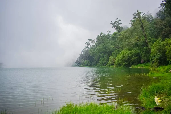 Belo Lago Com Árvores Verdes Nuvens Emergentes — Fotografia de Stock