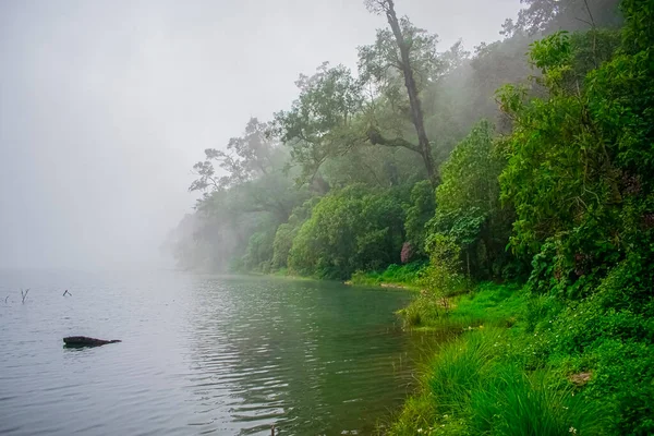 Sahillerde Nelinalarda Ağaçlar Olan Chicabal Gölü Manzaraları — Stok fotoğraf