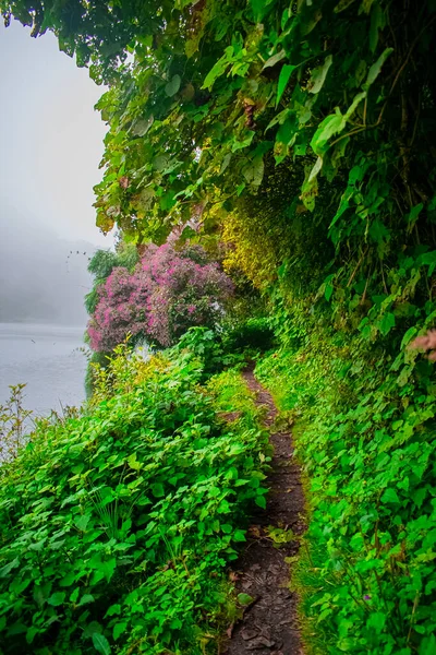 Chicabal Guatemala Gölü Ndeki Yollar — Stok fotoğraf