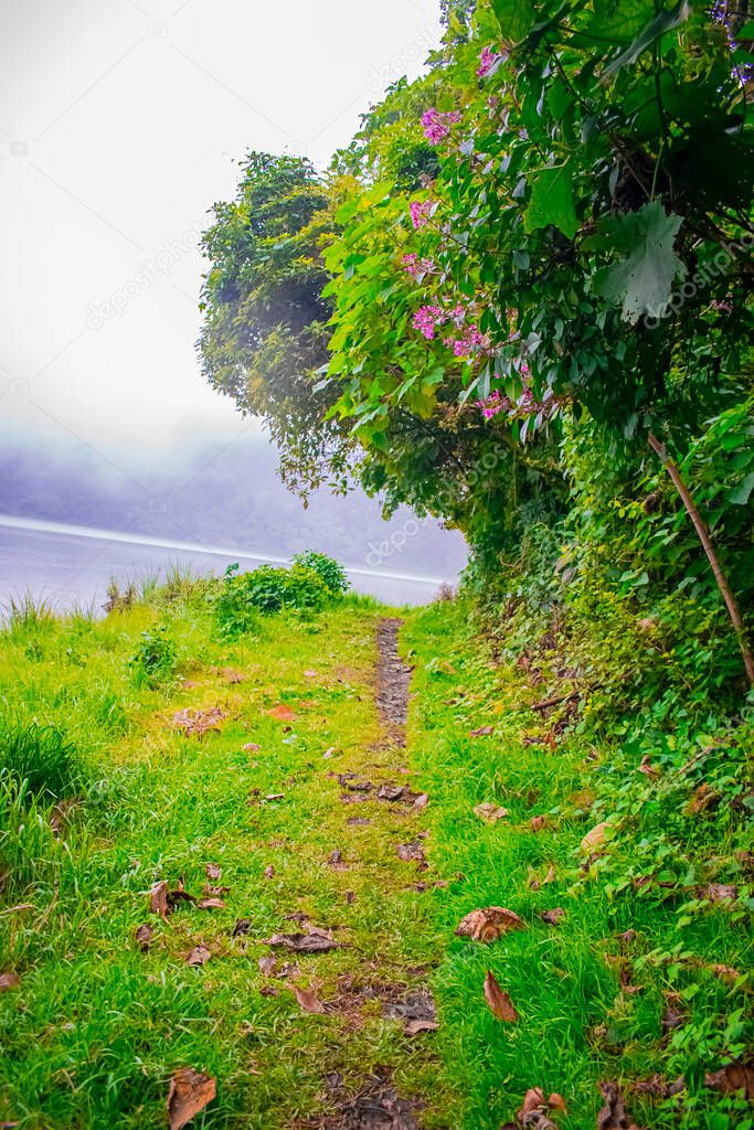 path with green trees and pink flowers chicabal lagoon