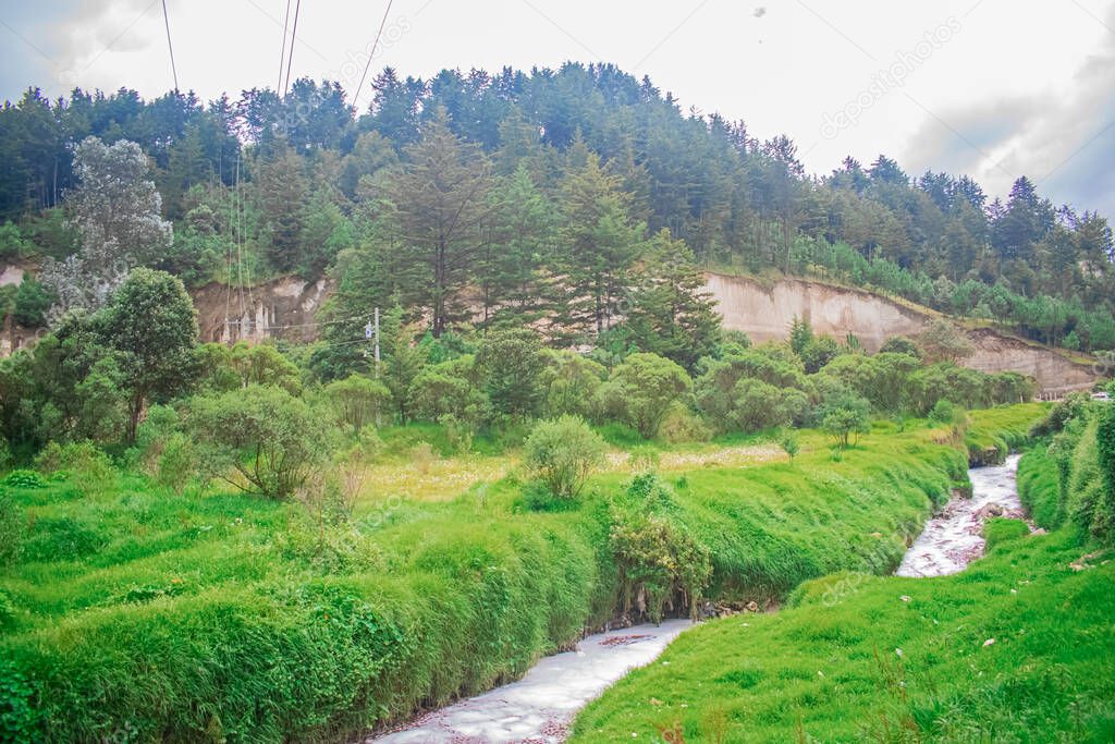 river suction between gram green with trees behind