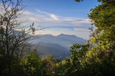 Arkaplanda yeşil ağaçlar ve mavi gökyüzü,