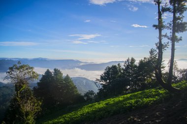 Vadiyi gören dağlara ekili tarlalar