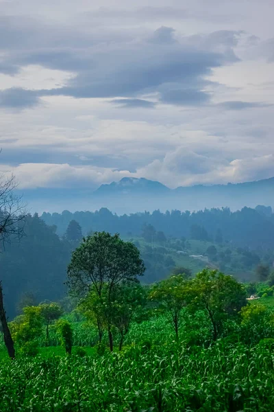 Hermosos Paisajes Con Montañas Entre Nubes Con Cultivos — Foto de Stock