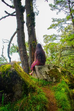Ormanda büyük bir ağacın altında oturan yerli Maya kadını.