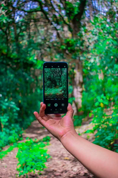 有黑色手机和景观背景的手 — 图库照片