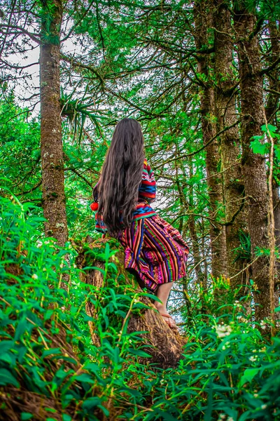 Vrouw Typische Maya Jurk Zittend Stam Met Achtergrond Bomen Met — Stockfoto