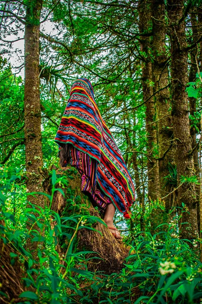 Mulher Traje Típico Maia Sentado Tronco Com Árvores Fundo — Fotografia de Stock