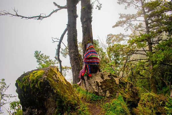 Mujer Sentada Bosque Con Ropa Maya Colorida Bajo Los Árboles —  Fotos de Stock
