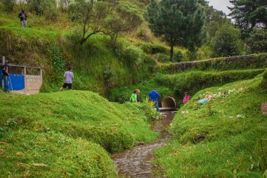 Çocuklar yeşil çimlerle nehirde oynuyorlar.