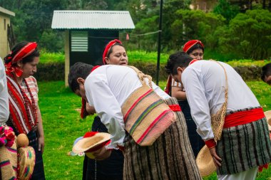Genç insanlar yeşil çimlerde dans ediyor şapkalı adam eğiliyor