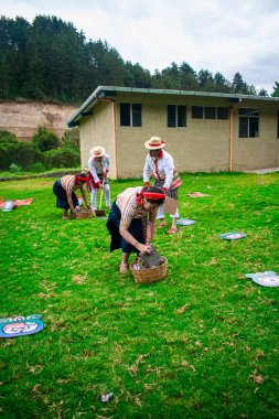 Genç insanlar yeşil çimlerde dans ediyor şapkalı adam