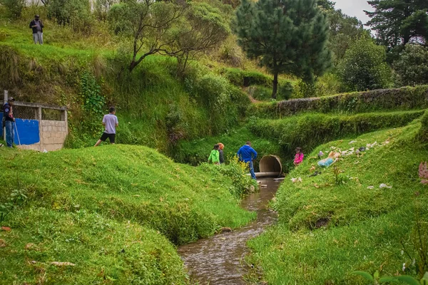 Çocuklar yeşil çimlerle nehirde oynuyorlar.